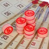 LDGames Лото, в п/п чехле, 22х20см оптом